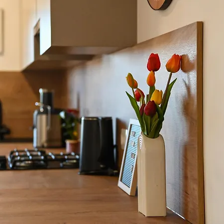 Veliki Petra アパート *